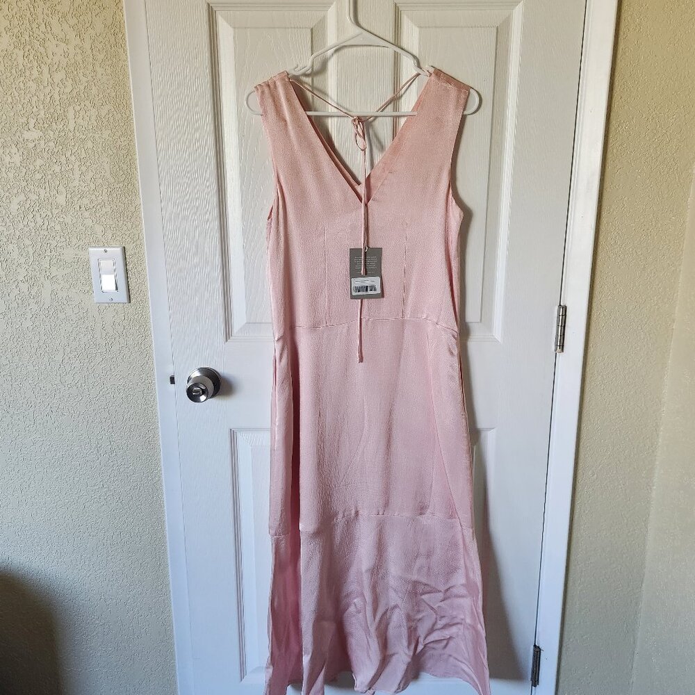 Everlane stain dress